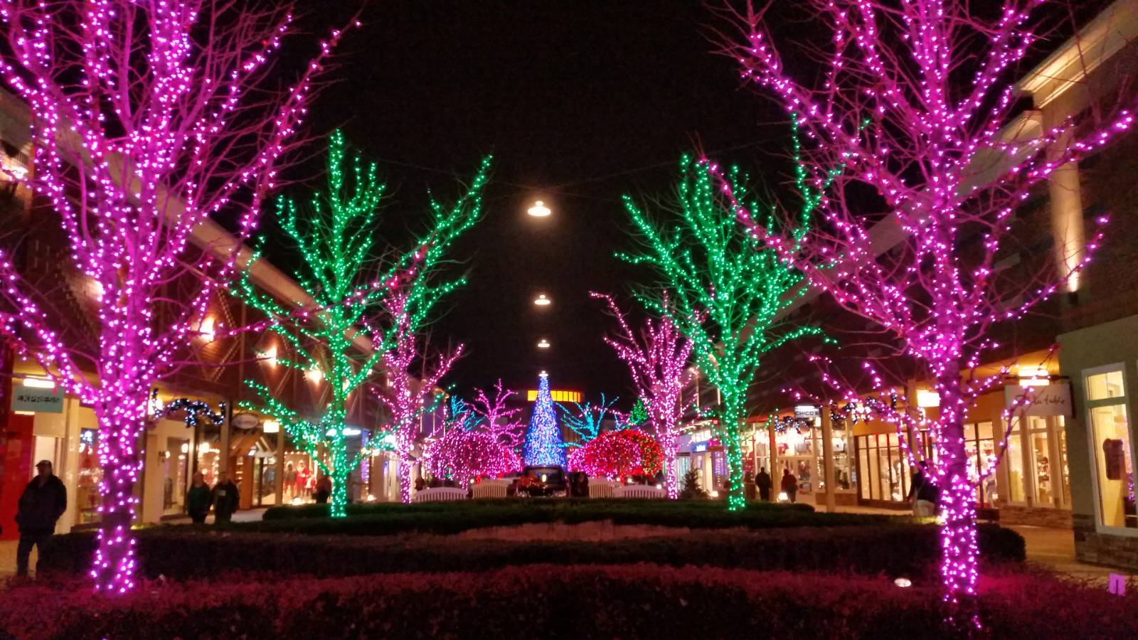 Multiple Colored Holiday Lights