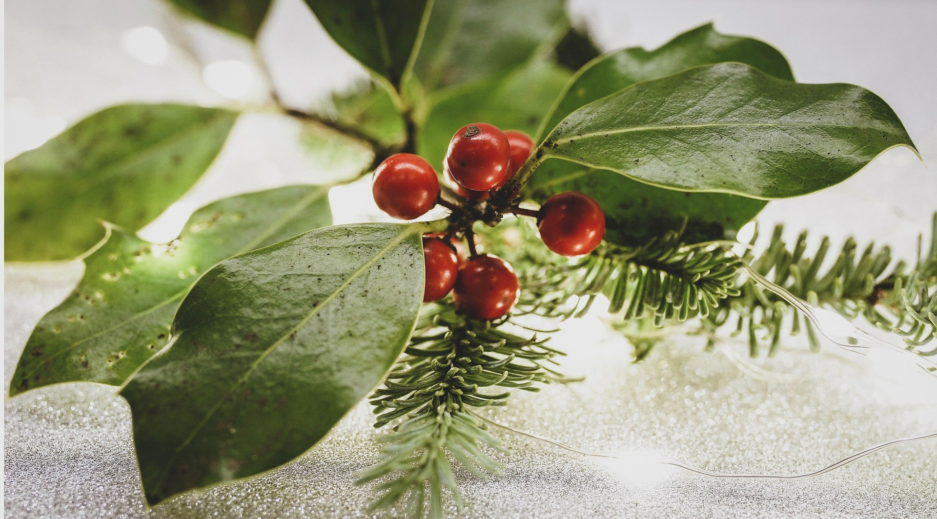 Holly Seasonal Greenery