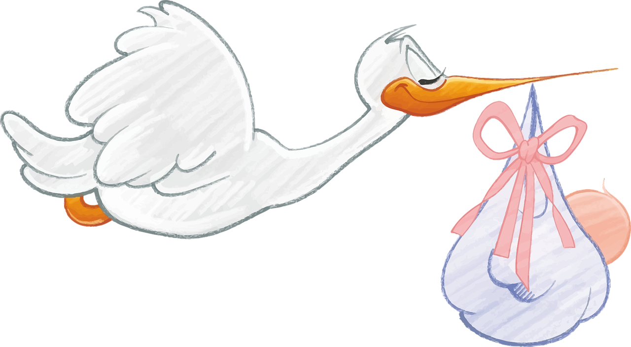 Stork delivering a baby -Image